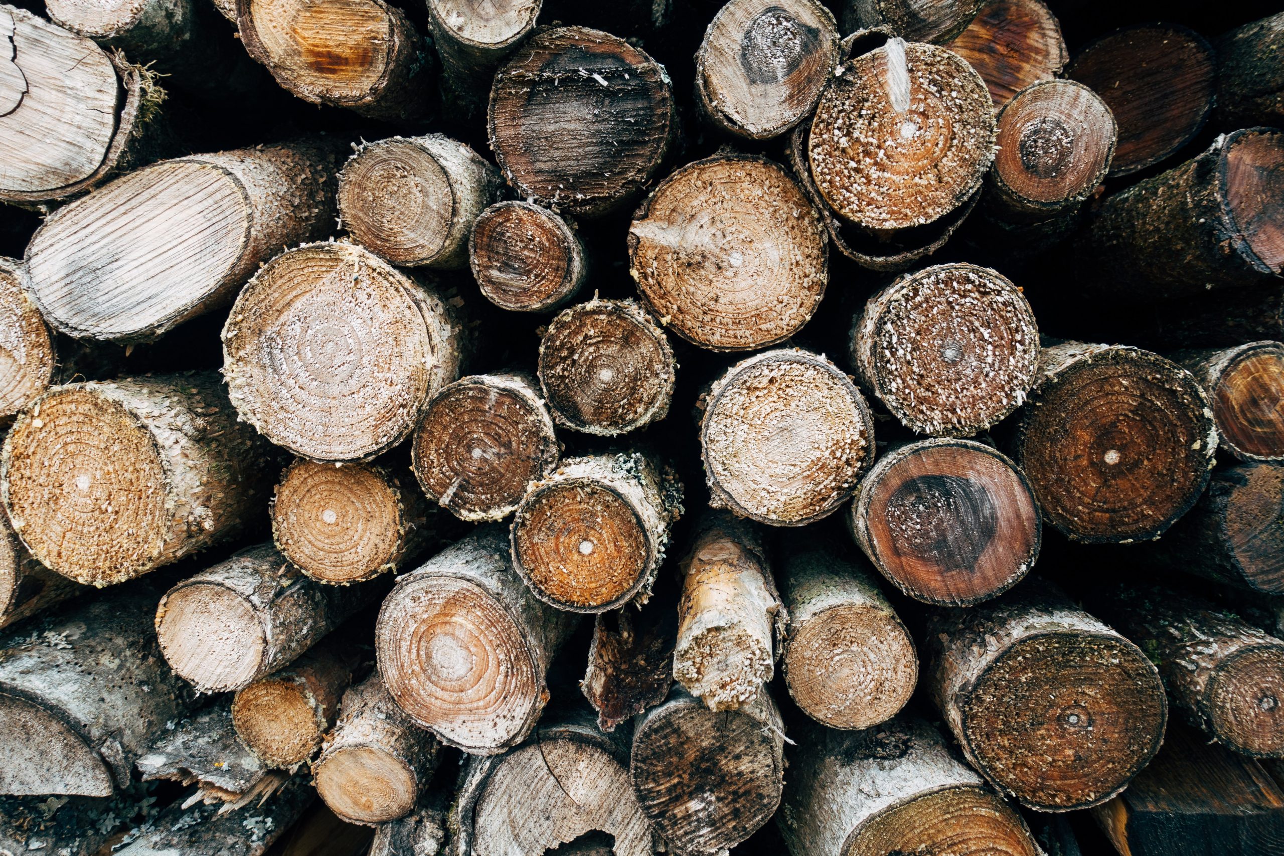 Forestry Group Satisfied With Budget - Vimarsana News