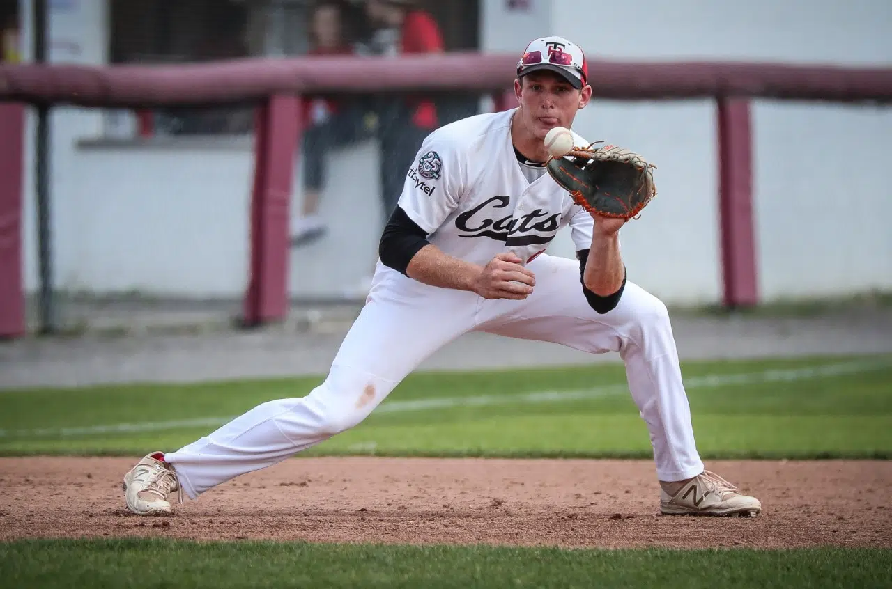 Ex-Border Cat Now An Oriole