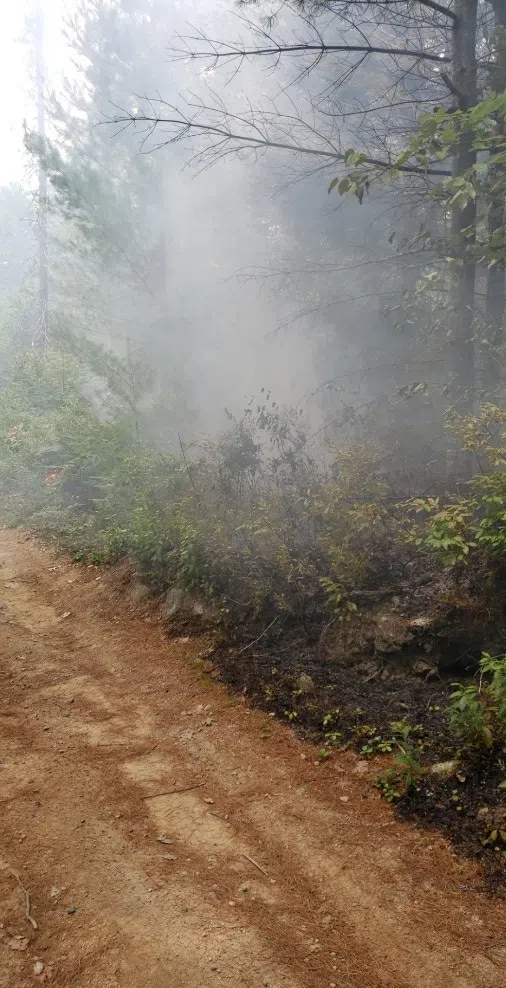 Two Camps Fortunate to be Standing Following Woods Fire near Vaughan’s