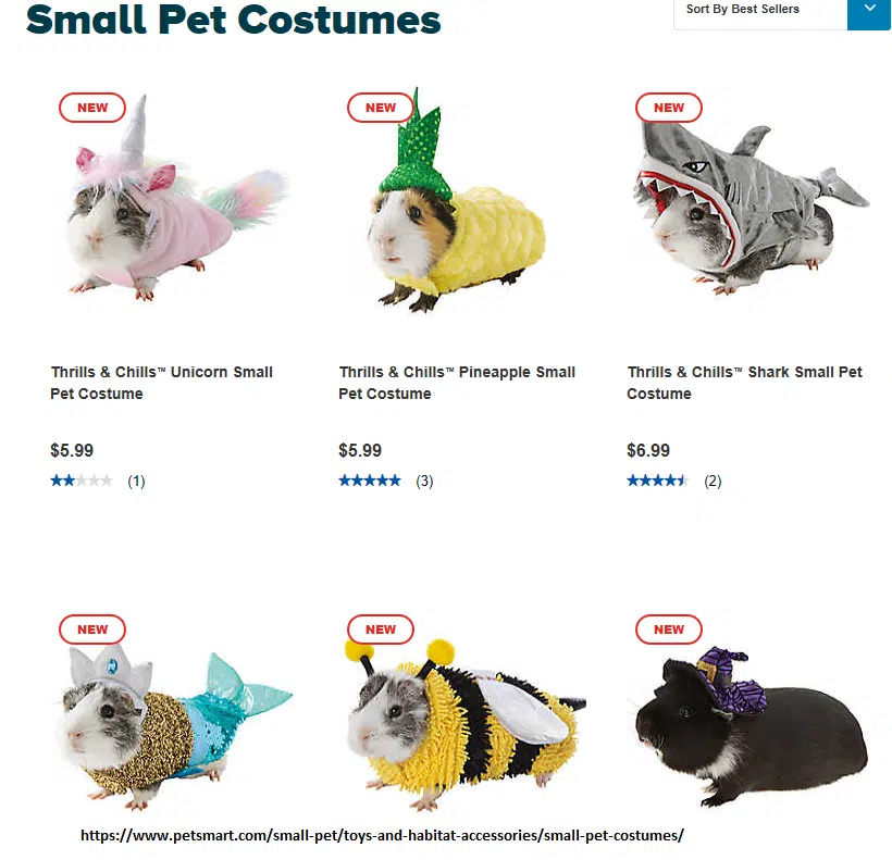 PetSmart's Guinea Pig Halloween Costumes 2019