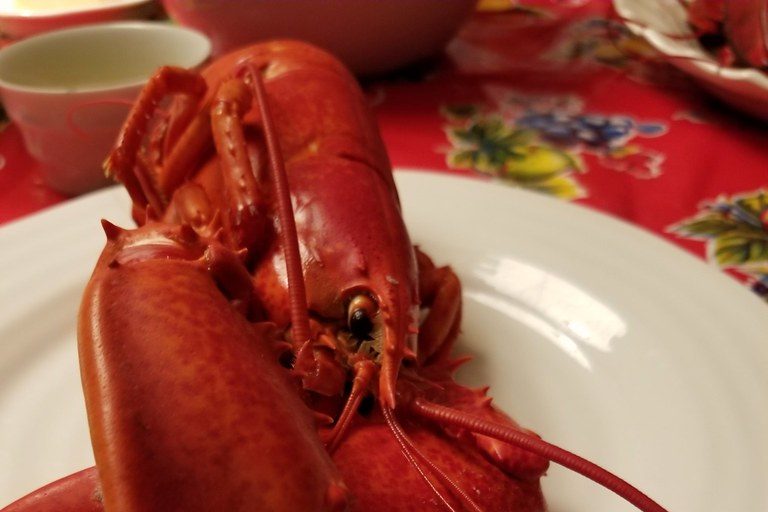 LOBSTER – Tasty Treats Are In The Pots Again - Vimarsana News