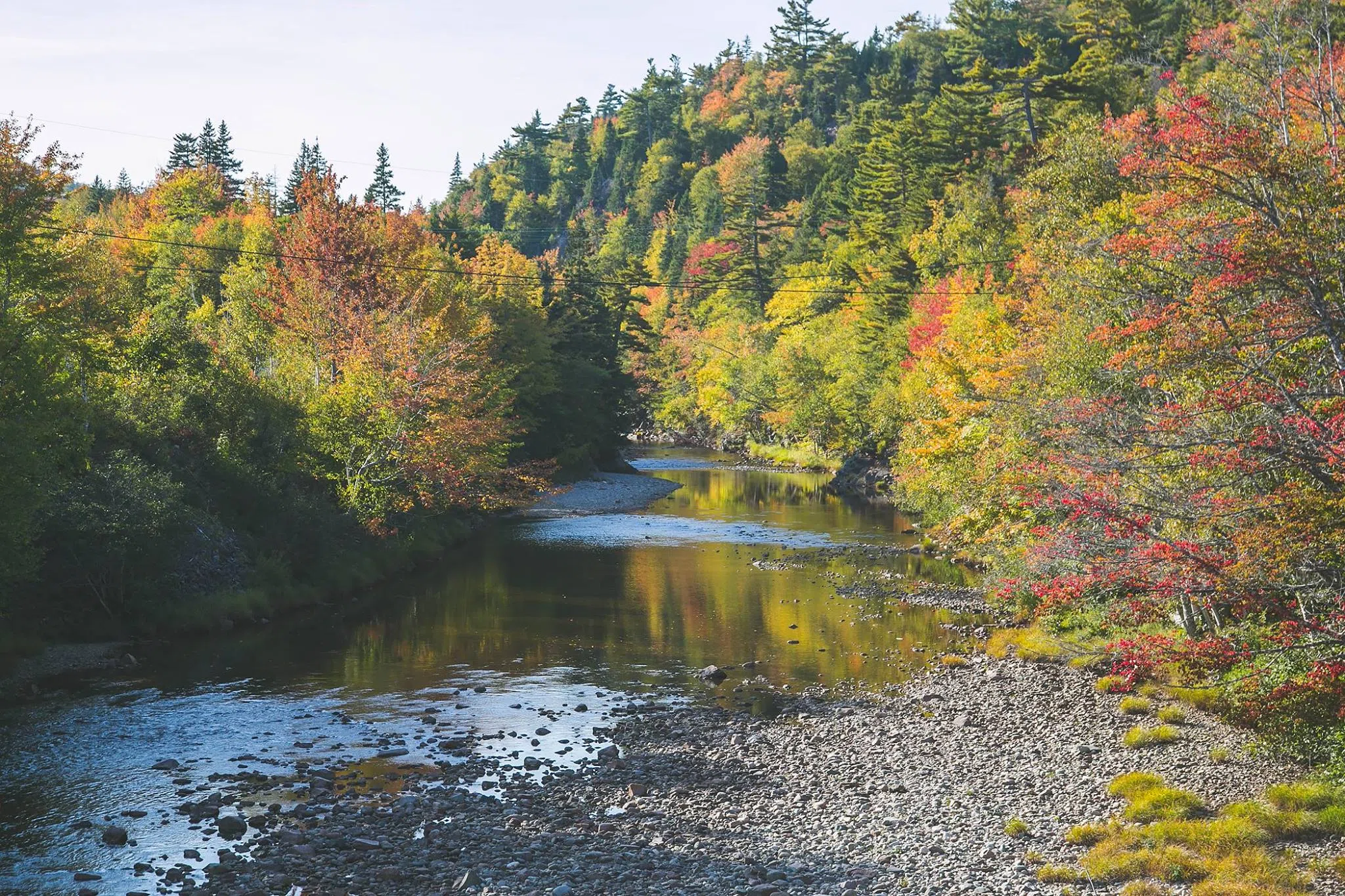 Forestry Innovation Transition Trust, Funding Four More Projects