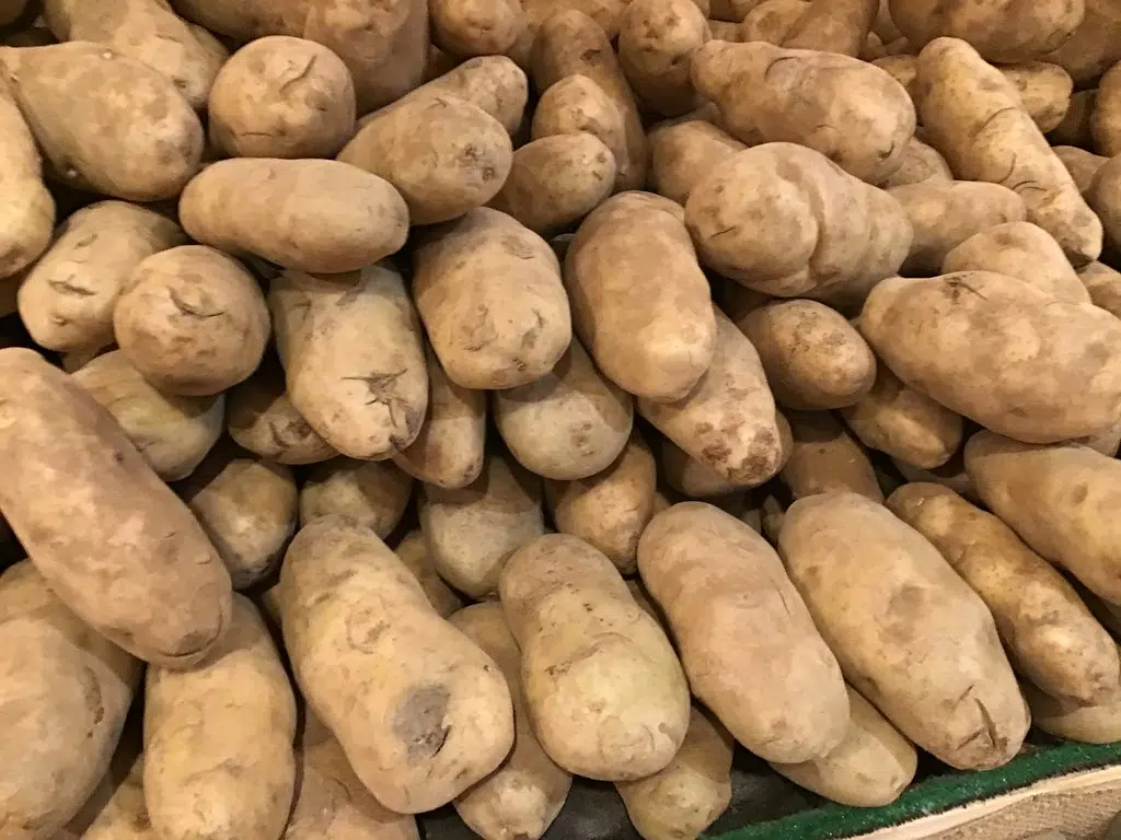 “There's absolutely no reason that our fresh potatoes should not be going into the US.” – P.E.I. Potato Board - 101.5 The Hawk