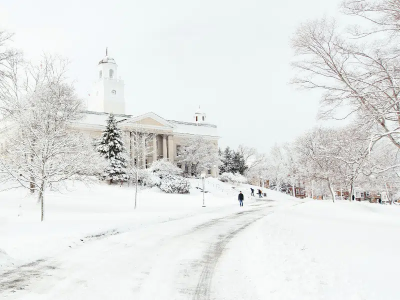 Classes cancelled at Acadia University due to faculty strike
