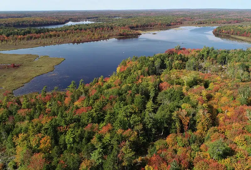 NCC Announces Upper Ohio Conservation Area