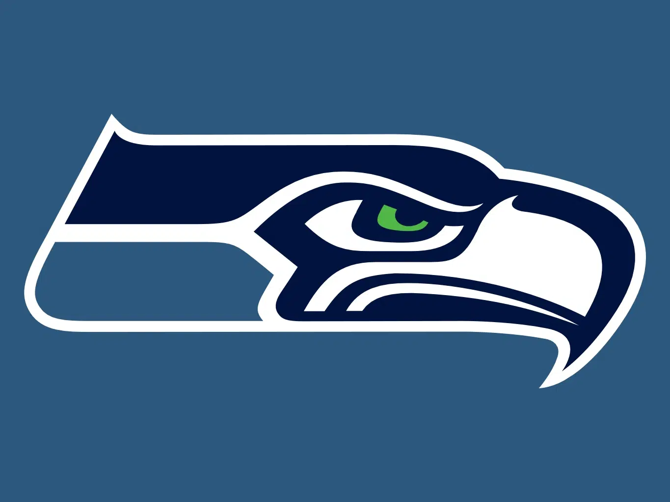 South Shore Seahawks