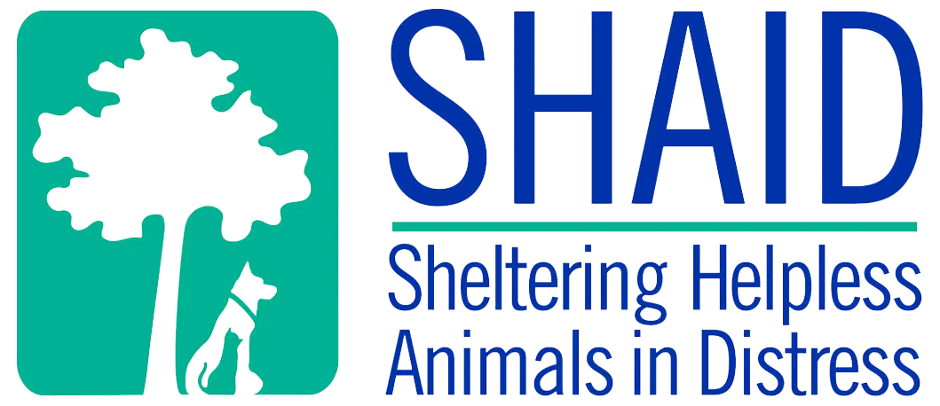 SHAID Animal Shelter: Keep Pets Inside During Extreme Cold