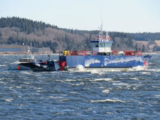 Provincial ferries to be free permanently