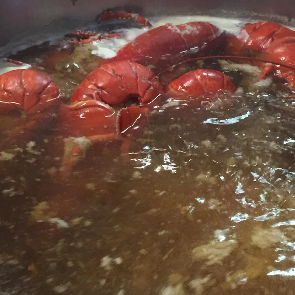 Liverpool Brewery Brewing Up Lobster Suds CKBW