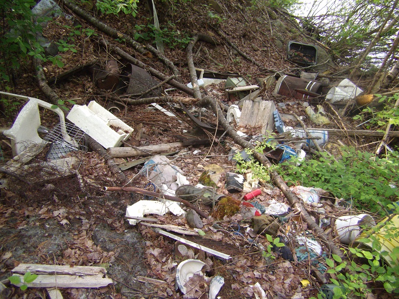 Local Non Profit Organizations Can Raise Money By Cleaning Up Litter - Vimarsana News