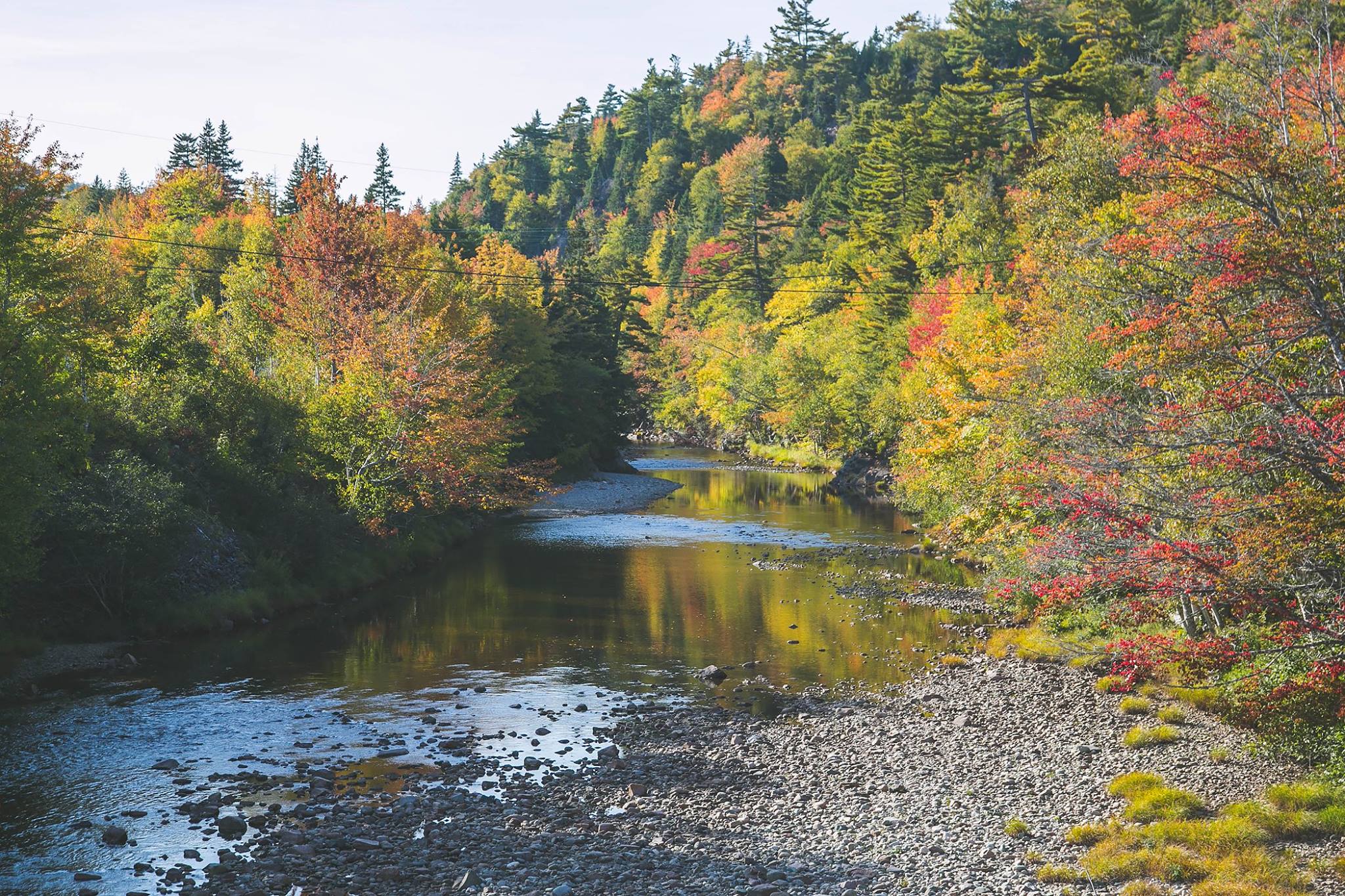 Forestry Innovation Transition Trust, Funding Four More Projects - Vimarsana News