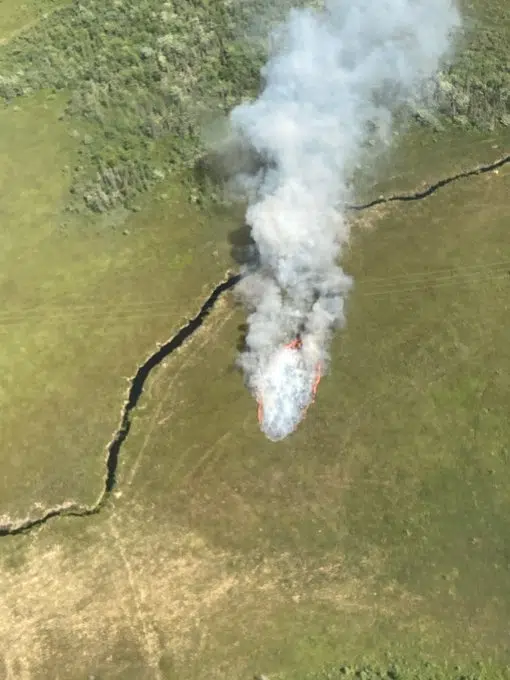 Seven Active Forest Fires In NS, All In Western Region