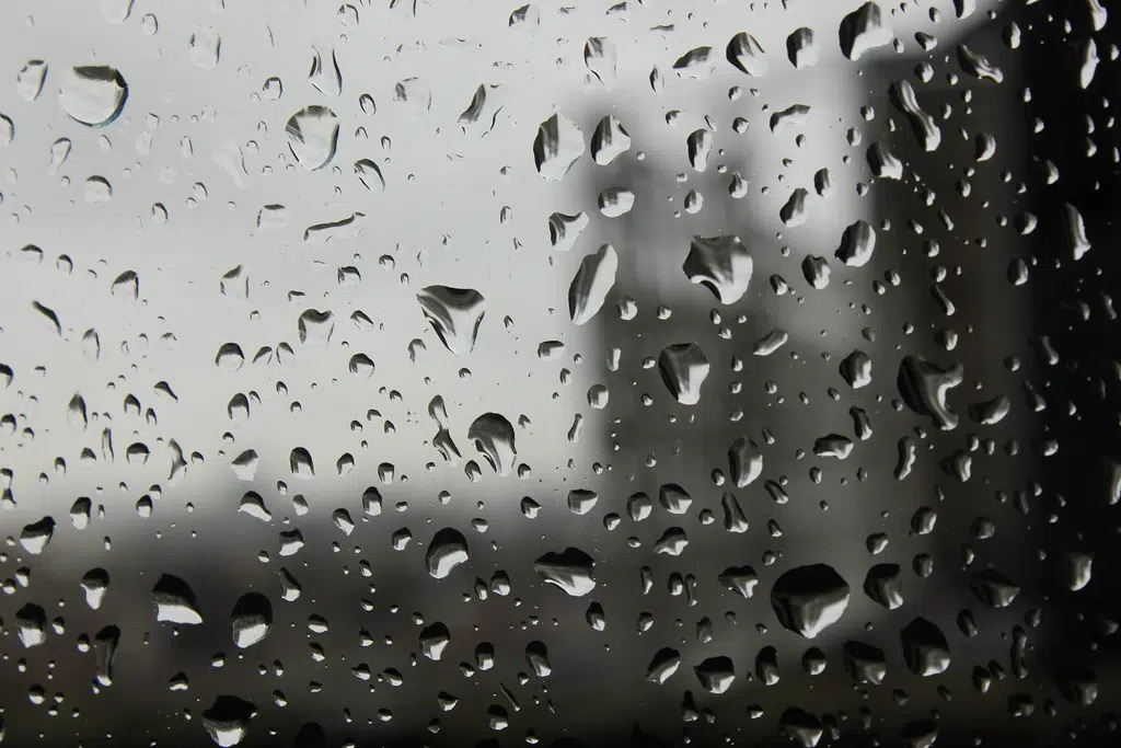 Rainfall Warning In Effect; High Winds Expected Sunday | Country 100.7