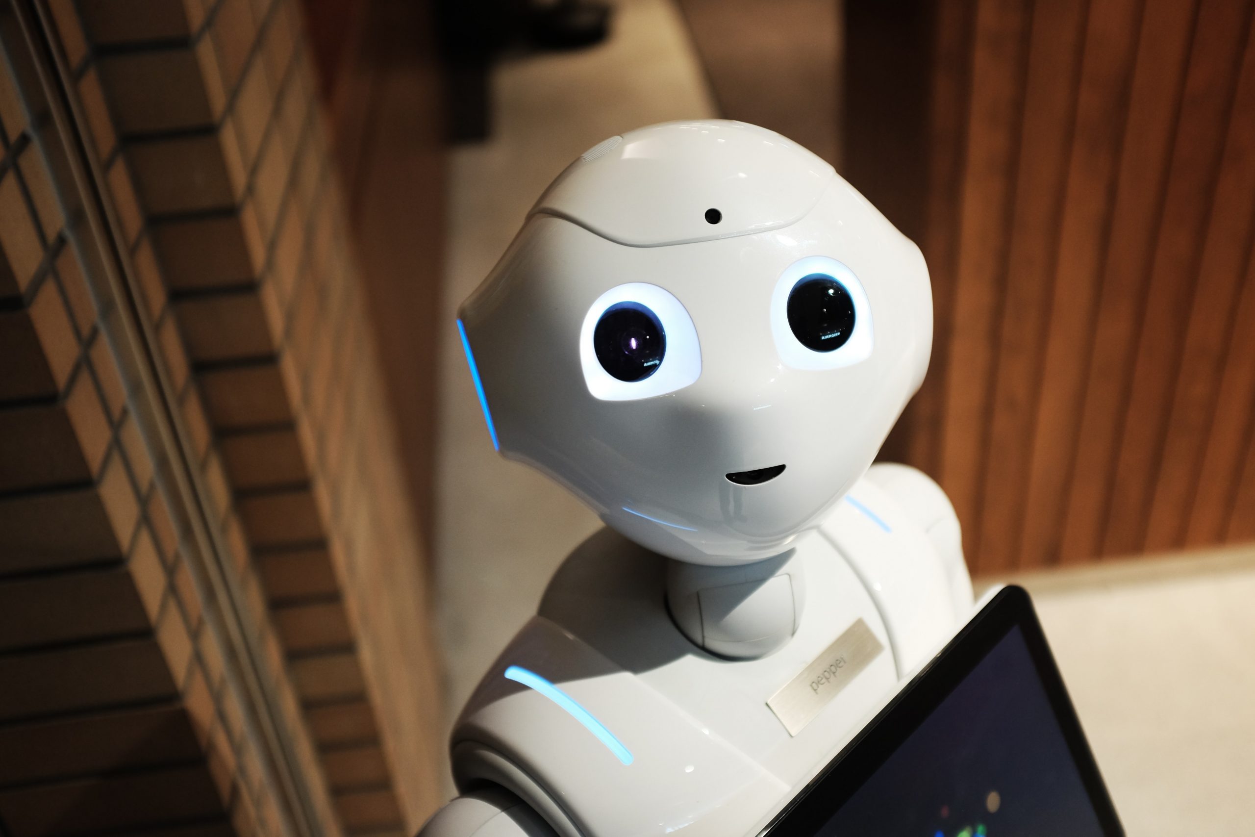 Unique Tech Revealed At CES 2021 Includes Wine Pouring Robot, A Headless Cat & More! - Vimarsana News