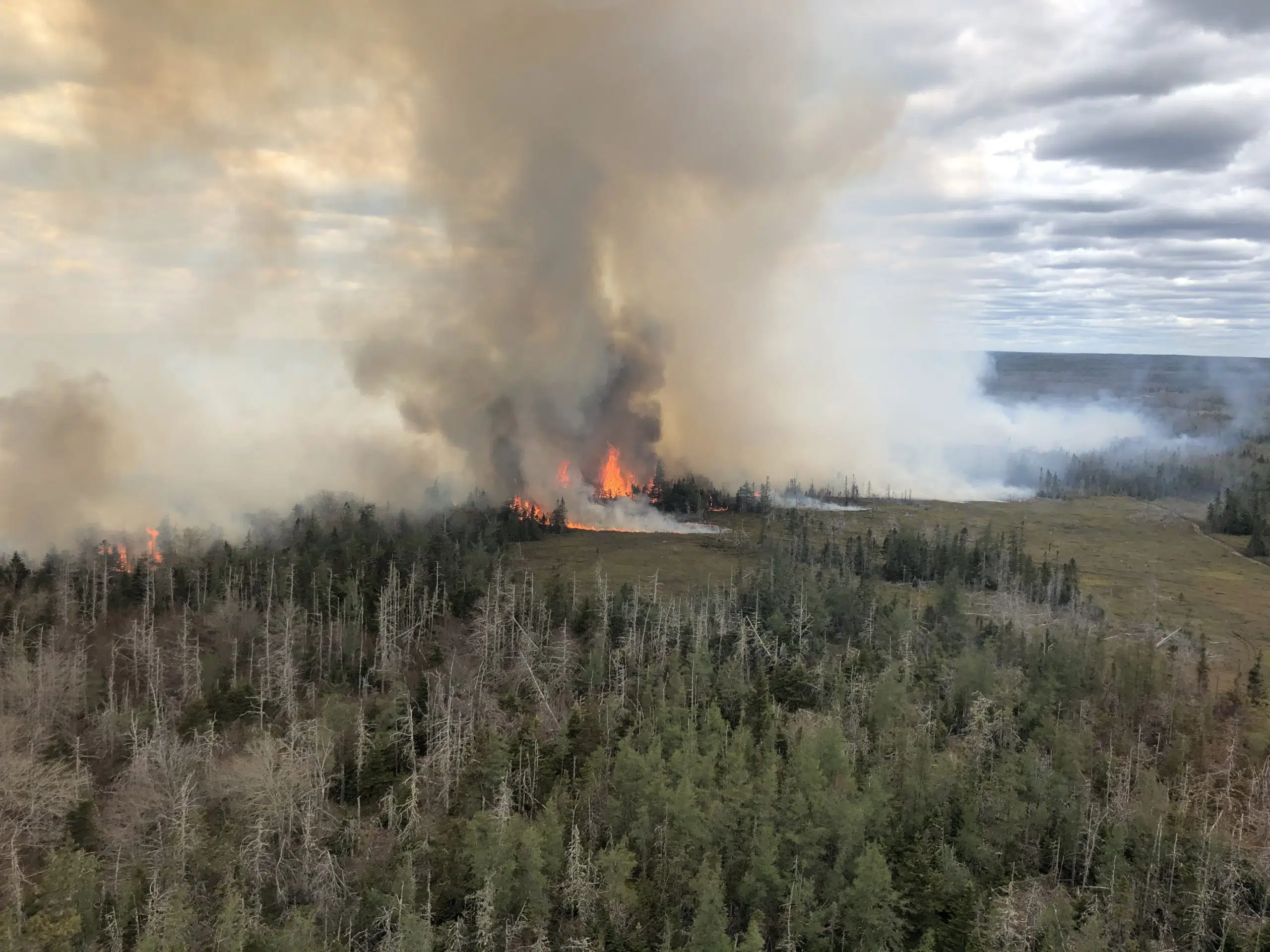 Barrington Forest Fires Still Burning