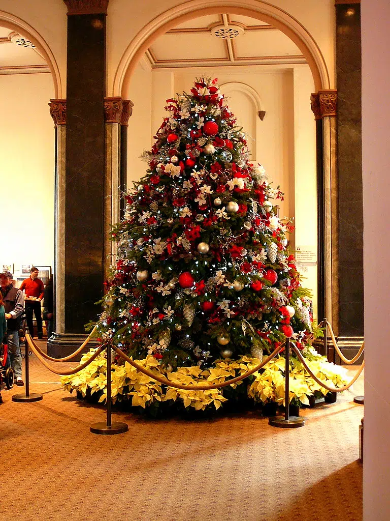 When Does Your Tree Go Up? CKBW