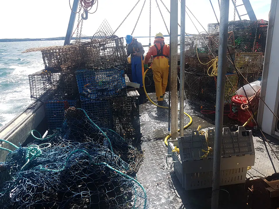 Ghost Fishing Gear Cleanup Project Surpasses 700 Tonnes Mark | 101.5 ...