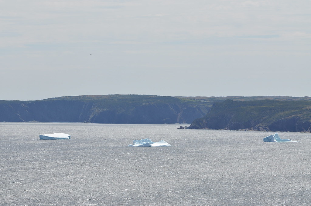 Nova Scotian shrimp boat heading home after ice damage - Vimarsana News