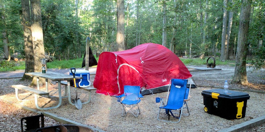 Camp Can Be Important - Vimarsana News