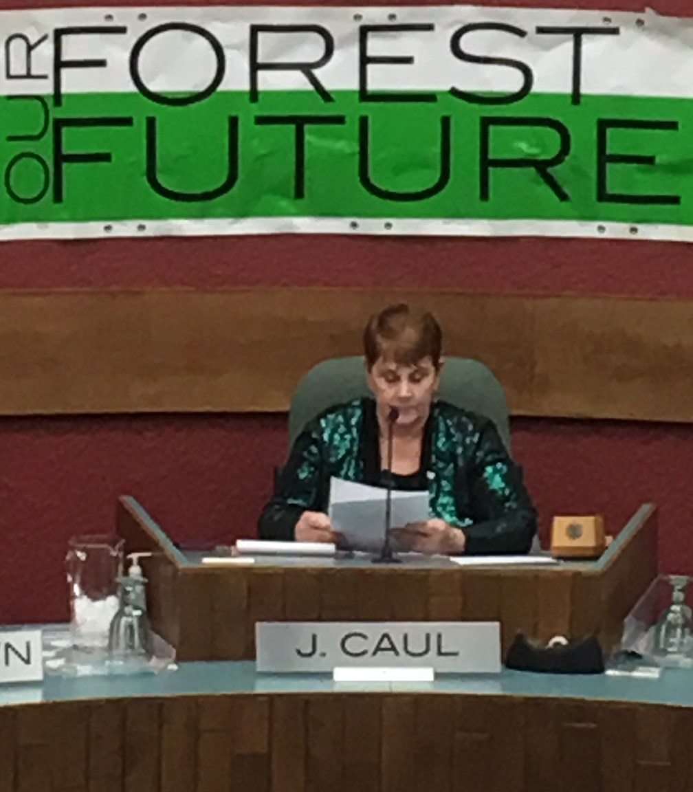 No Sanctions For Fort Frances Mayor - Vimarsana News