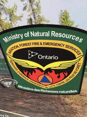 Small Forest Fire Break Out - Vimarsana News