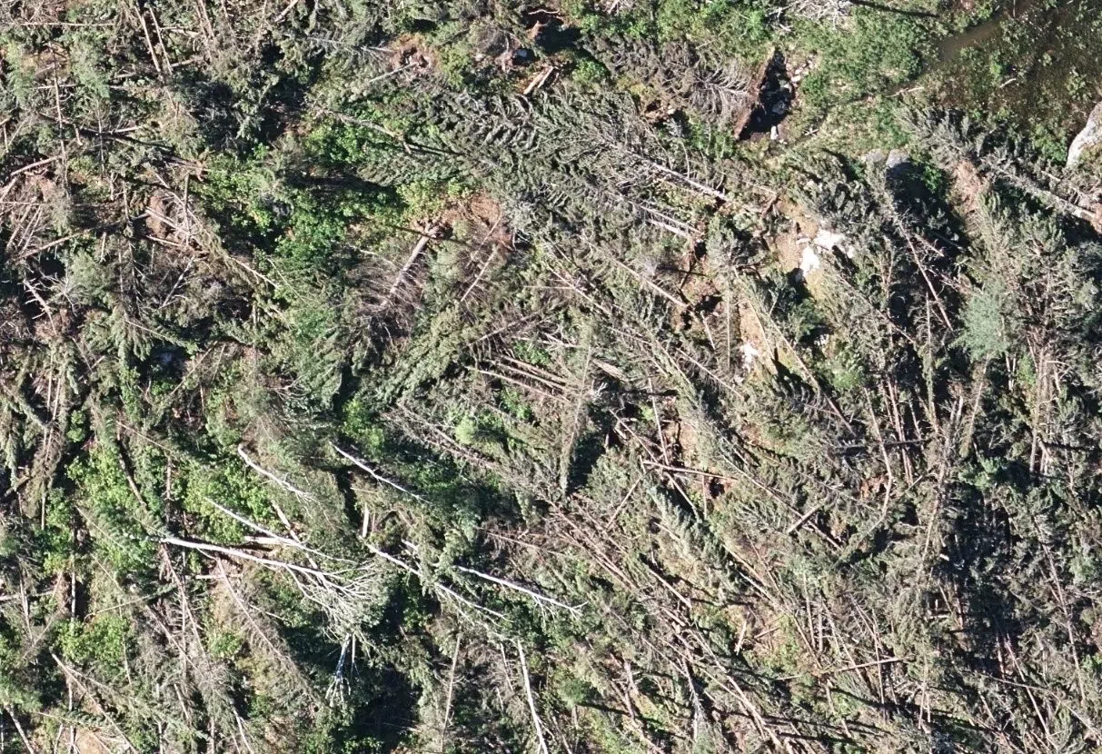 Tornadic Activity Near Nestor Falls Studied CFOB 93.1 The Border