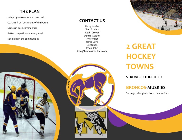 High School Hockey Merger Floated - Vimarsana News