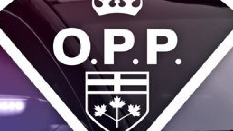 Cocaine/Crack Cocaine Seized In Fort Frances - Vimarsana News
