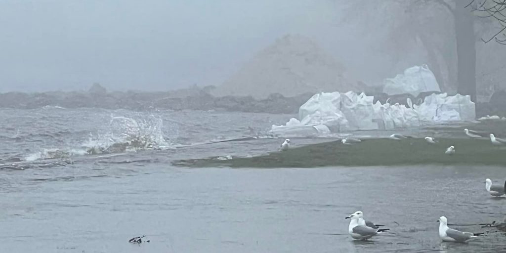 Rainy Lake Peaking - Vimarsana News