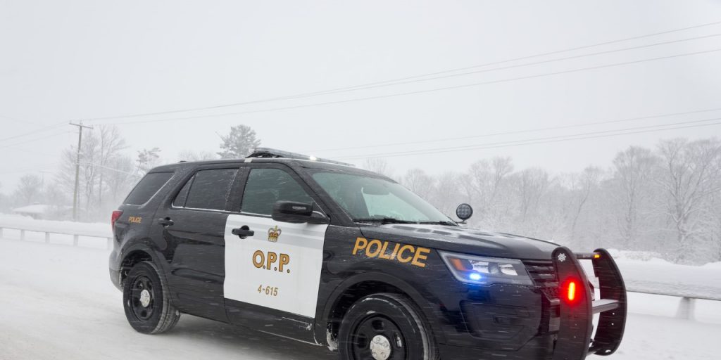 Rainy River OPP Issue 32 Charges Last Week - Vimarsana News