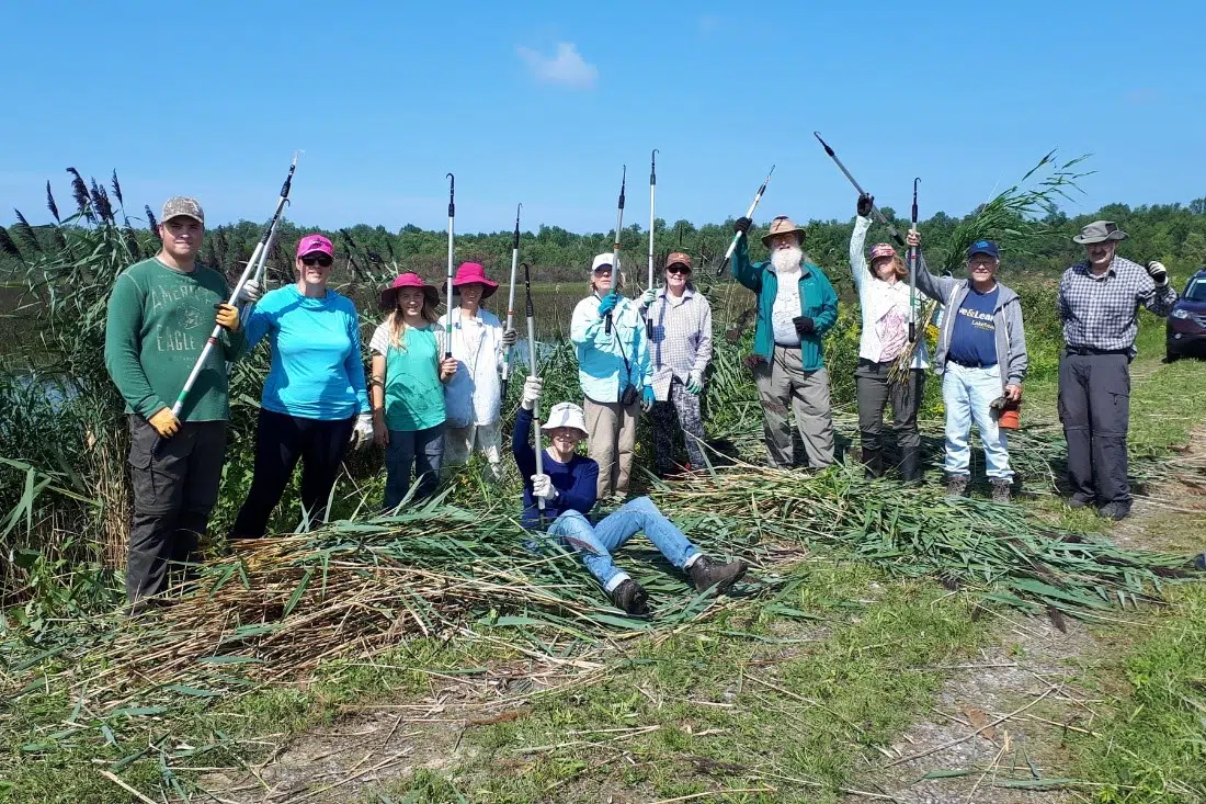 Invasive Species Funding Now Available