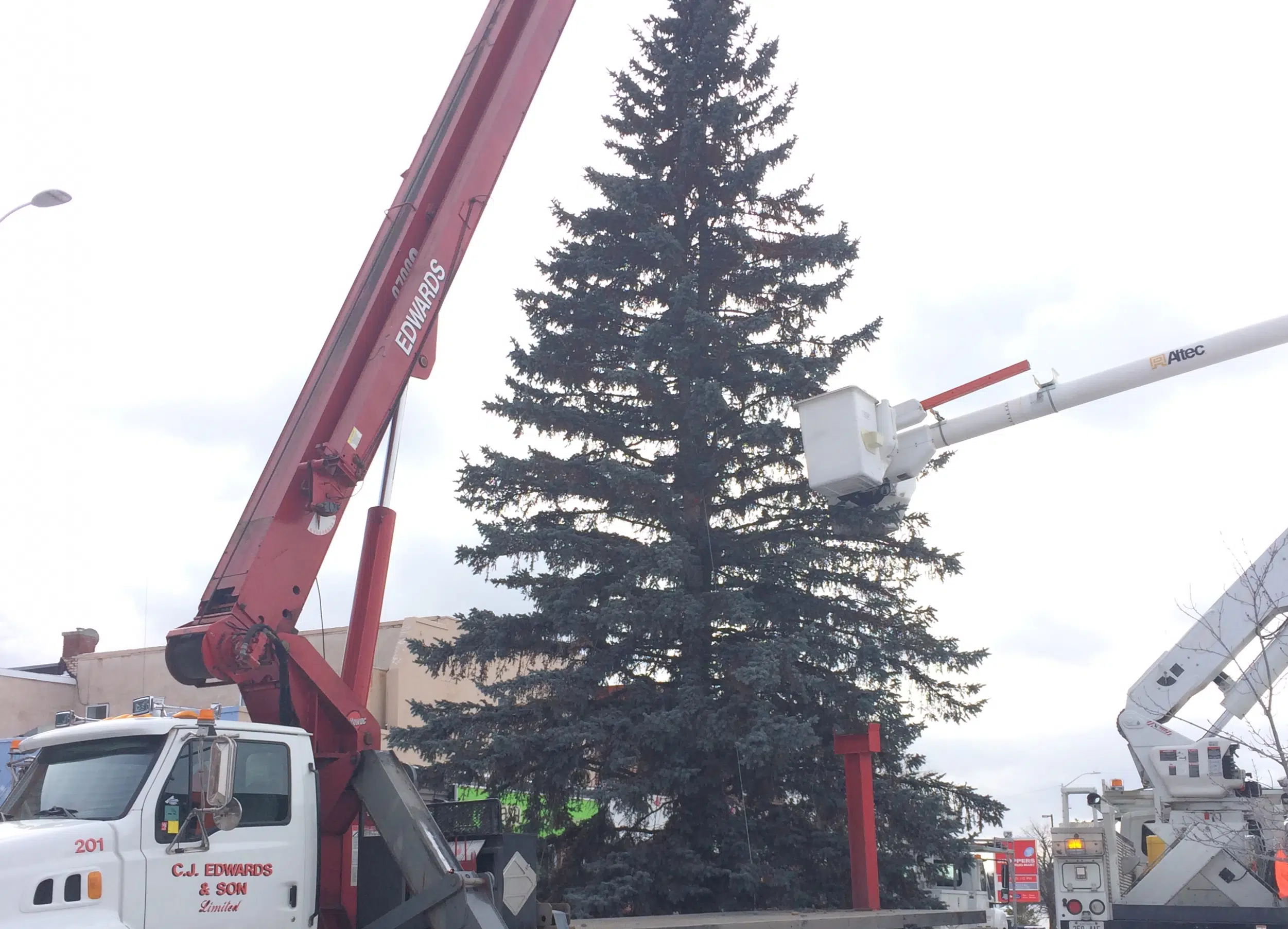 Kenora’s Giant Christmas Tree Back In Place 89.5 The Lake