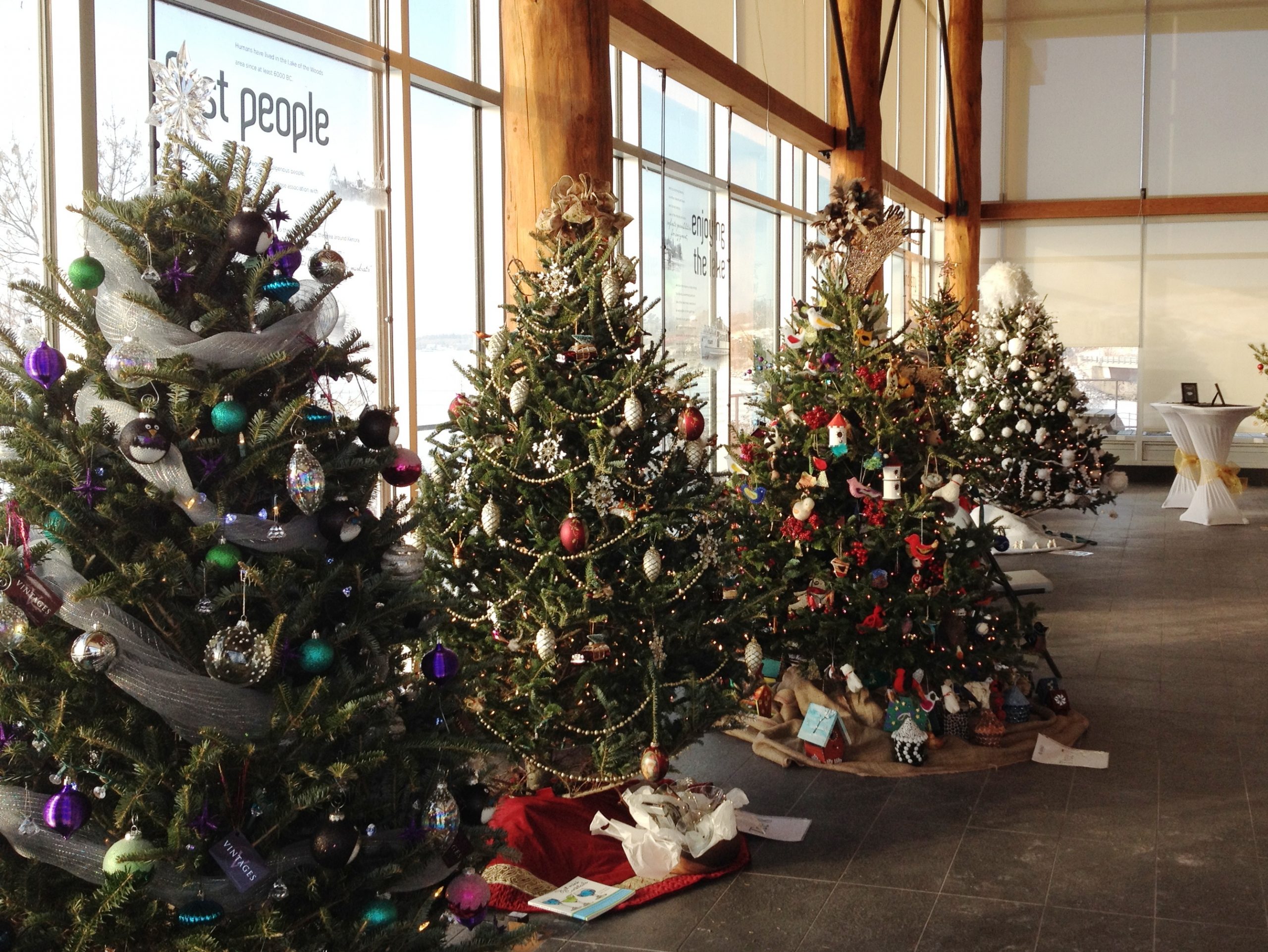 Don't Throw Your Christmas Tree Out Yet - Vimarsana News