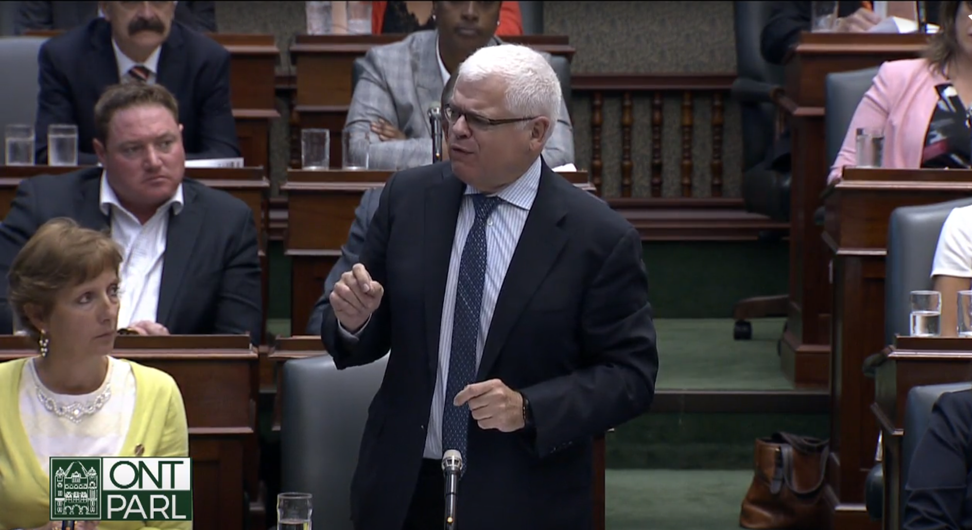 NDP Members Ejected During Question Period - Vimarsana News