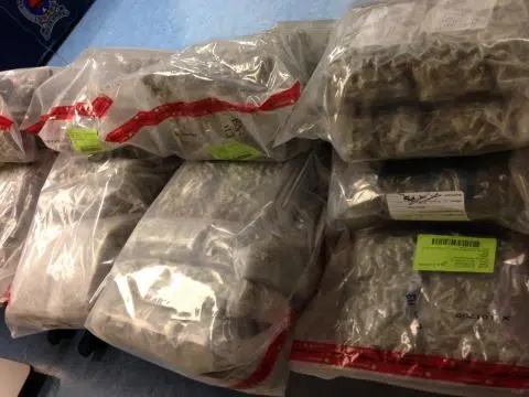 Thunder Bay Police Make Huge Drug Bust | 89.5 The Lake