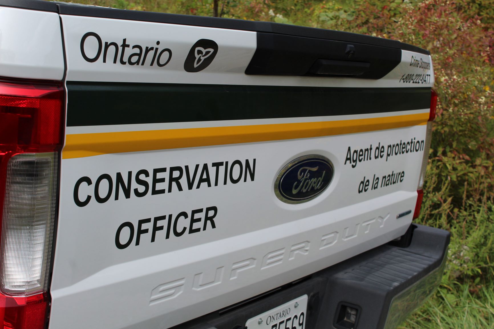 Hunting Fines In The Sioux Lookout Area - Vimarsana News