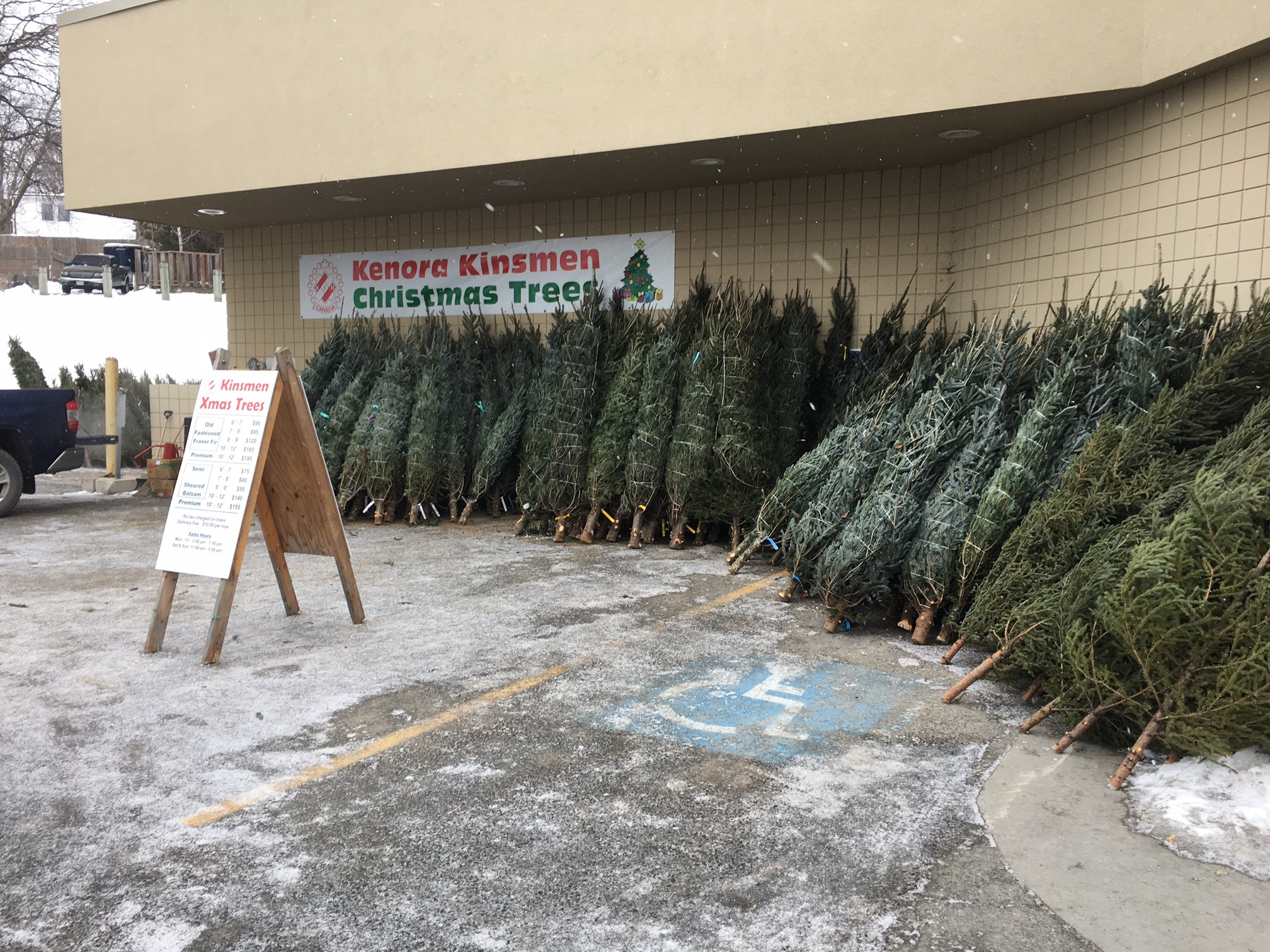 Kinsmen Christmas Trees Now On Sale - Vimarsana News