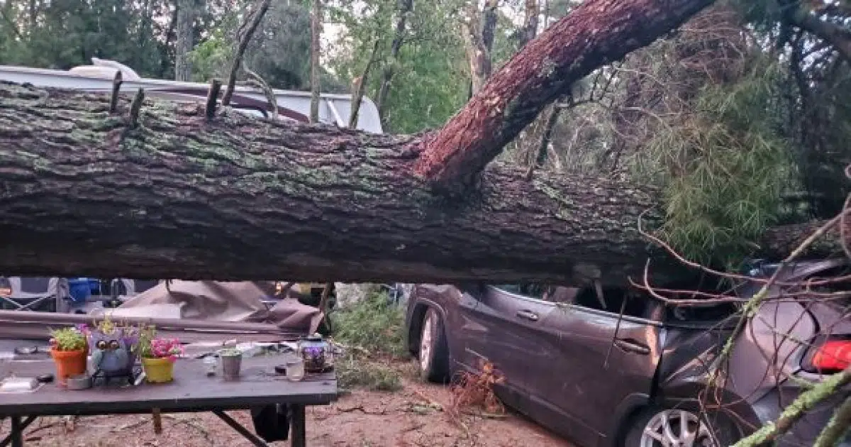 Sioux NarrowsNestor Falls Declares State of Emergency CKDR