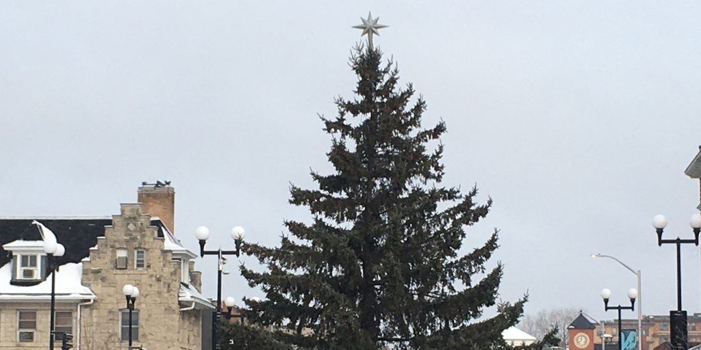 Christmas Tree Lighting Tonight - Vimarsana News