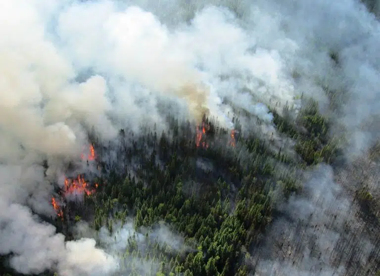 More And More Forest Fires In Northwestern Ontario | CKDR