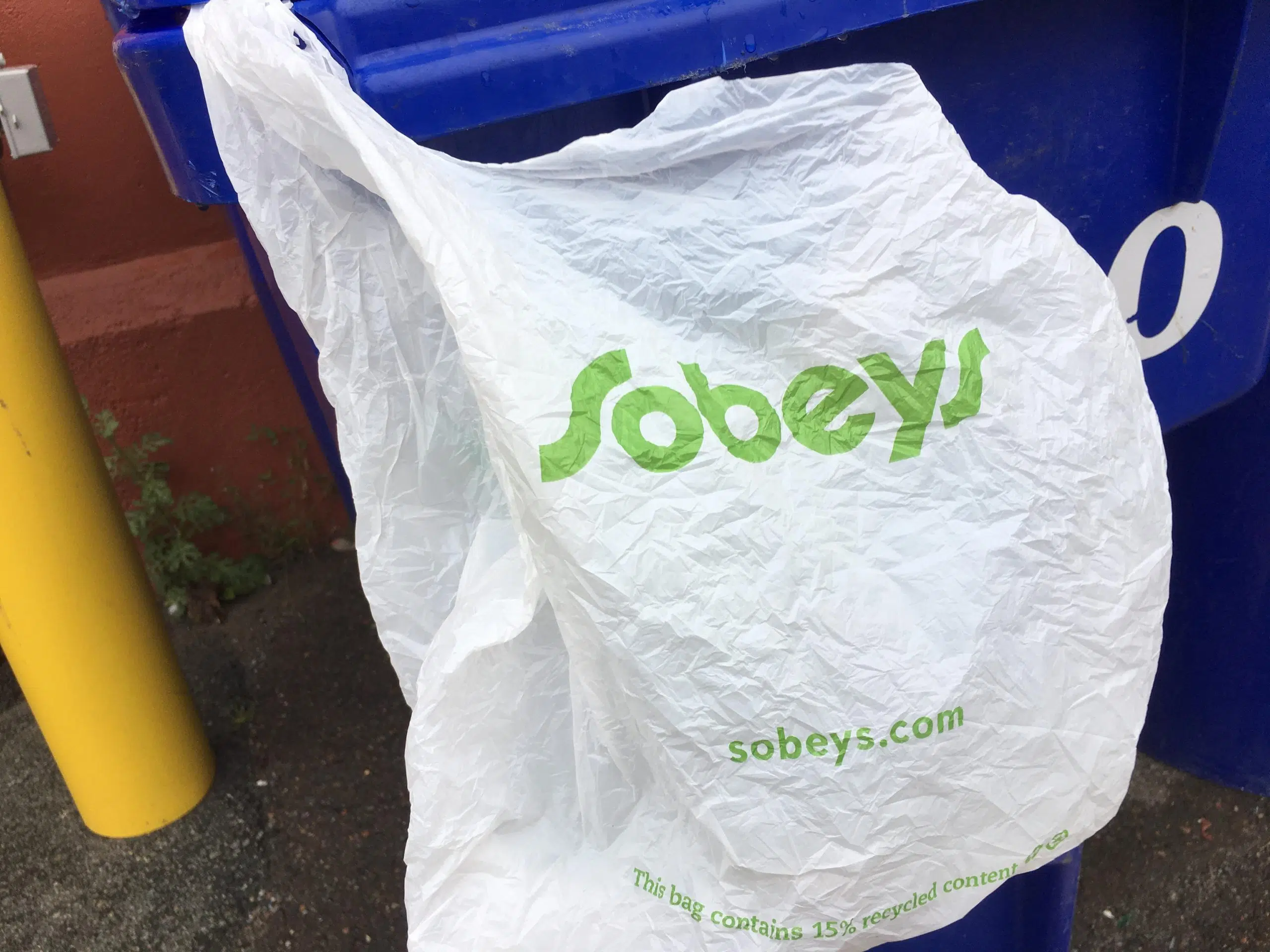 Most Sobeys Stores Ban Plastic Bags CKDR