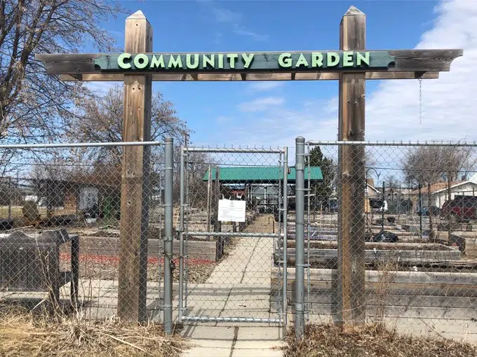 Dryden Community Garden Almost Ready To Open CKDR