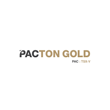 Pacton Gold Accelerating Activity In Red Lake - Vimarsana News