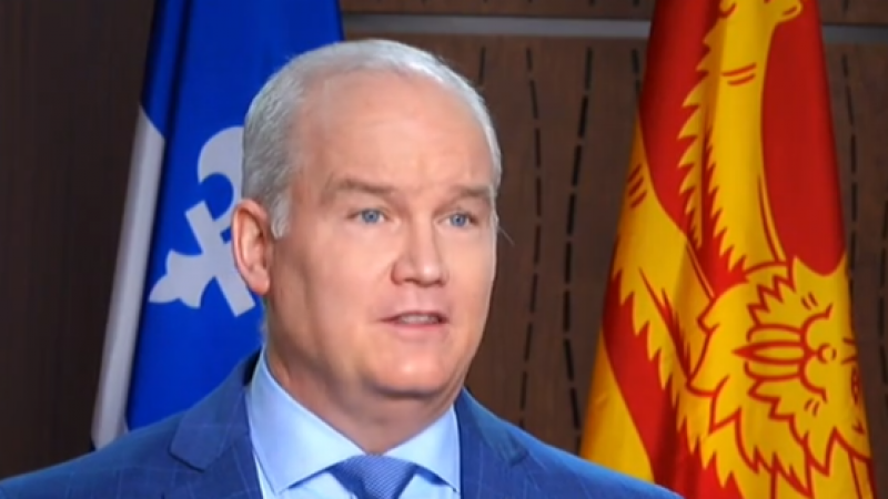Conservative Leader Holds Virtual Northern Tour - Vimarsana News