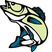 Tbaytel Walleye Masters Cancelled - Vimarsana News