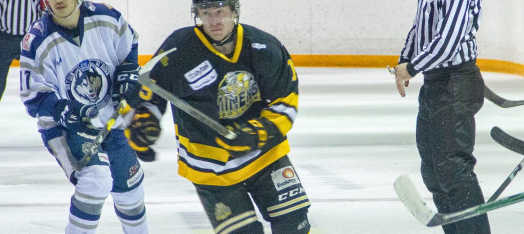 Three Losses For Ice Dogs Over Weekend - Vimarsana News