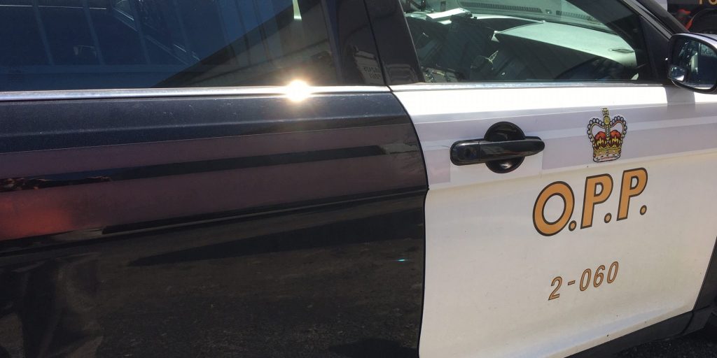 Drugs And Firearms Seized In Sioux Lookout - Vimarsana News