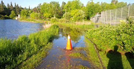 Roads Continue To Be Flooded; Whiteshell Not Improving - Vimarsana News