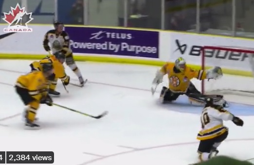 Red Lake Miners Lose To Host Bruins - Vimarsana News