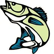 Dryden Walleye Masters Set For Tomorrow 